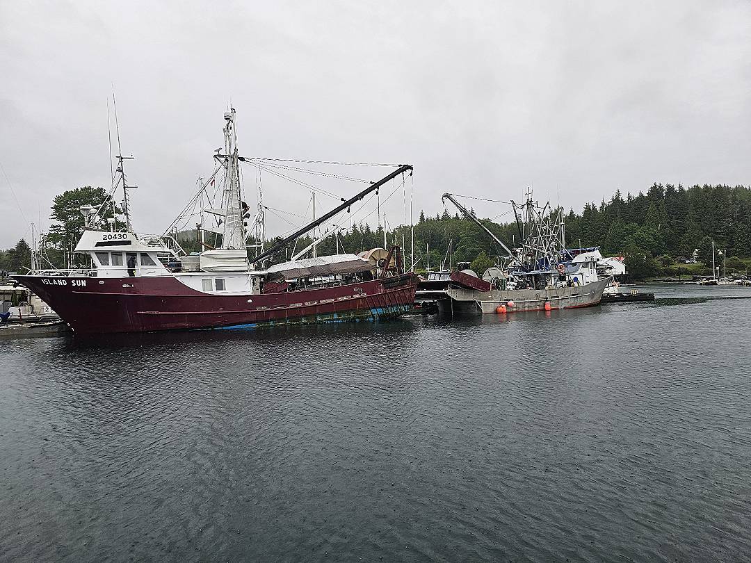 Steel John Manlyshrimp Trawler image 2