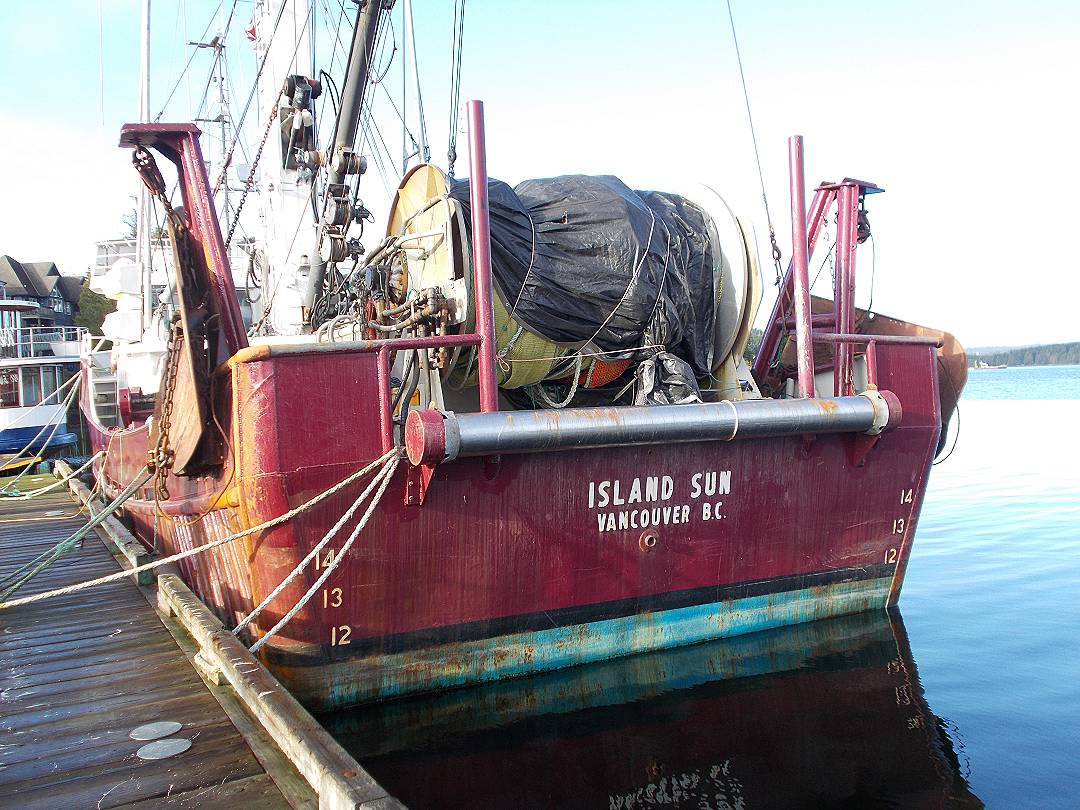 Steel John Manlyshrimp Trawler image 9