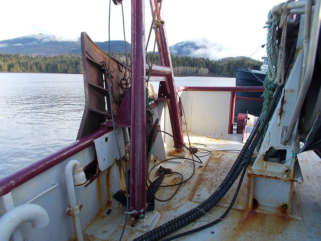 Steel John Manlyshrimp Trawler image 15