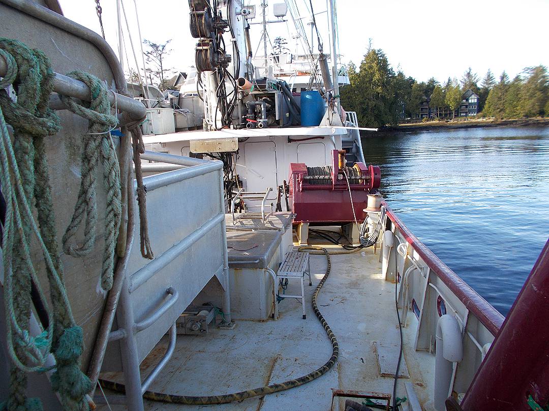 Steel John Manlyshrimp Trawler image 16