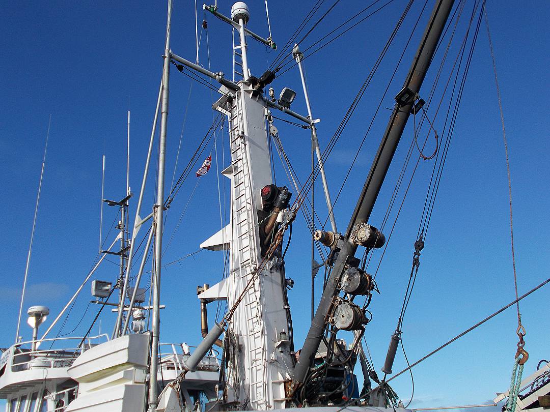 Steel John Manlyshrimp Trawler image 23