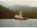 Steel John Manlyshrimp Trawler thumbnail image 1