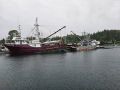 Steel John Manlyshrimp Trawler thumbnail image 2