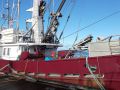 Steel John Manlyshrimp Trawler thumbnail image 7