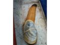 Geoduck Seafood Permits thumbnail image 17