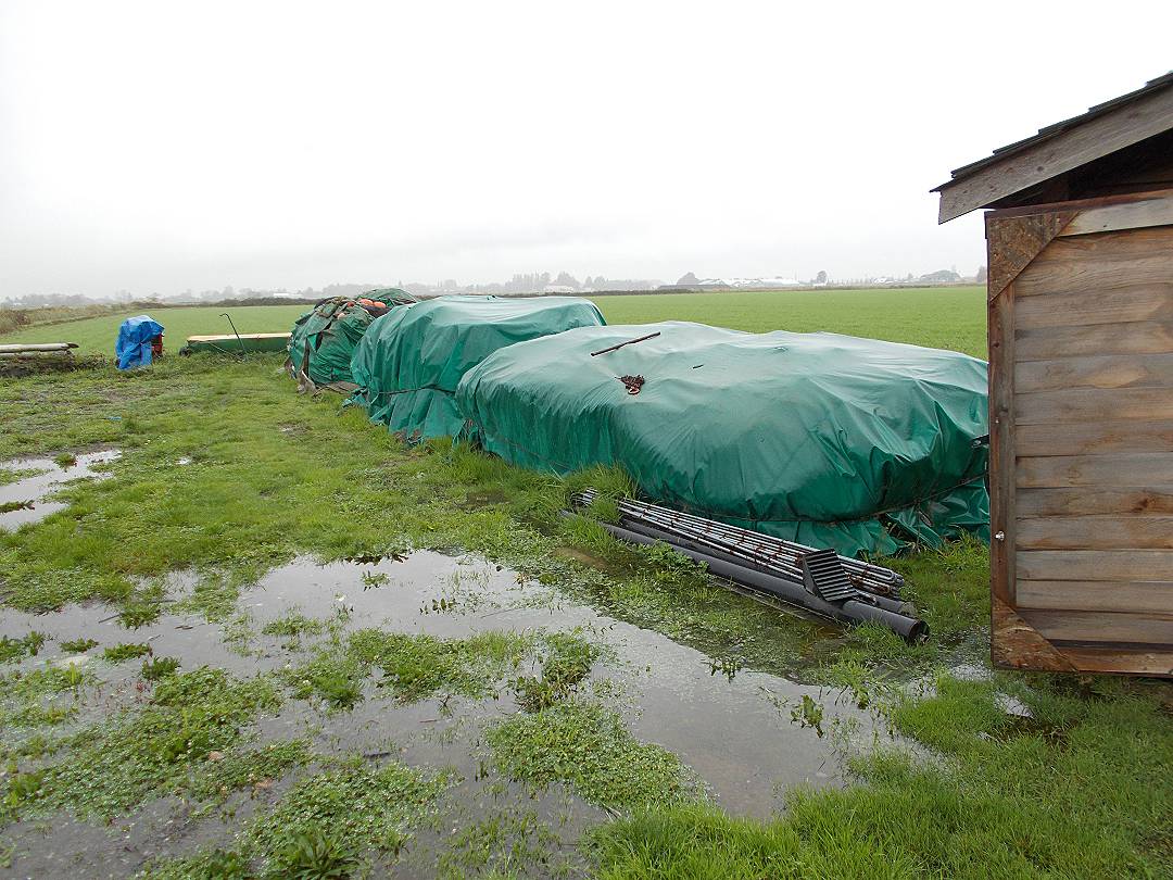 Herring Salmon Nets Equipment image 6