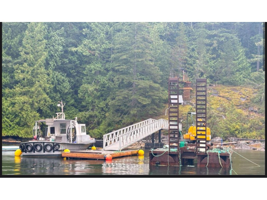 Pontoon Dock image 3