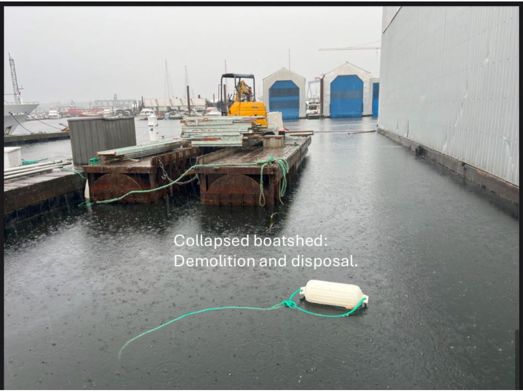 Pontoon Work Dock image 1