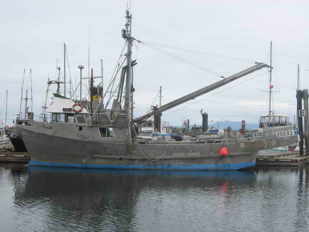 Longliner Seine Fishing Boat