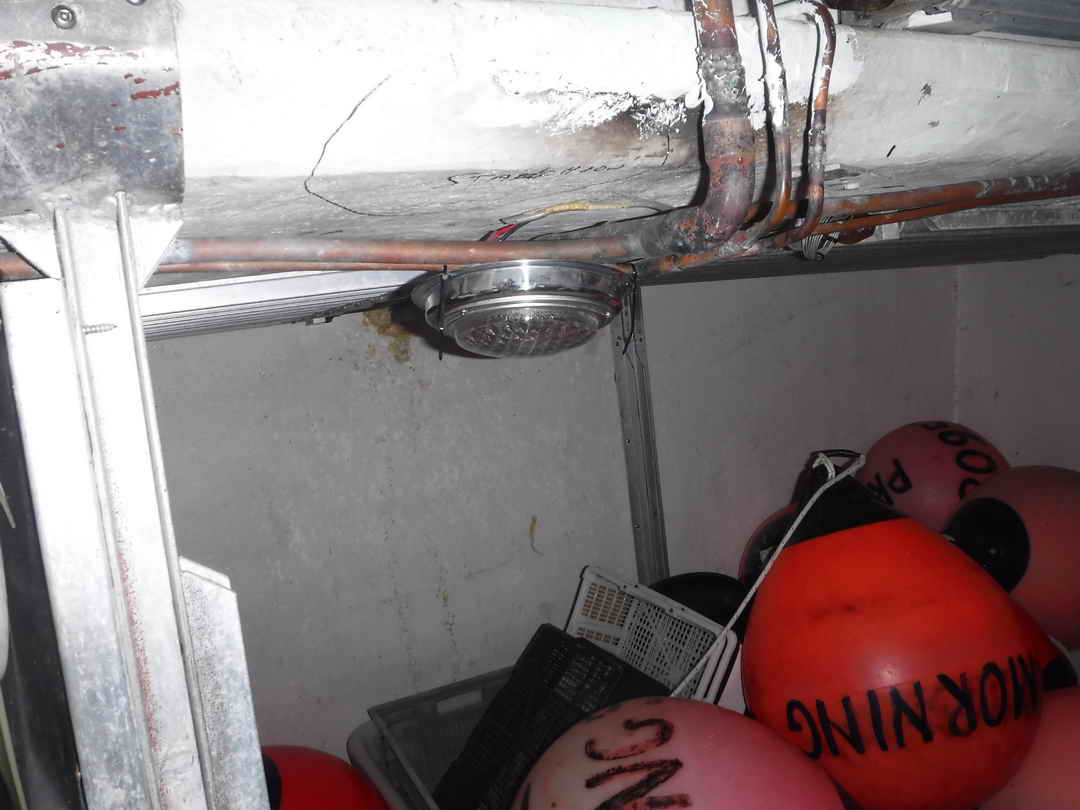 E & D Freezer Prawner image 49
