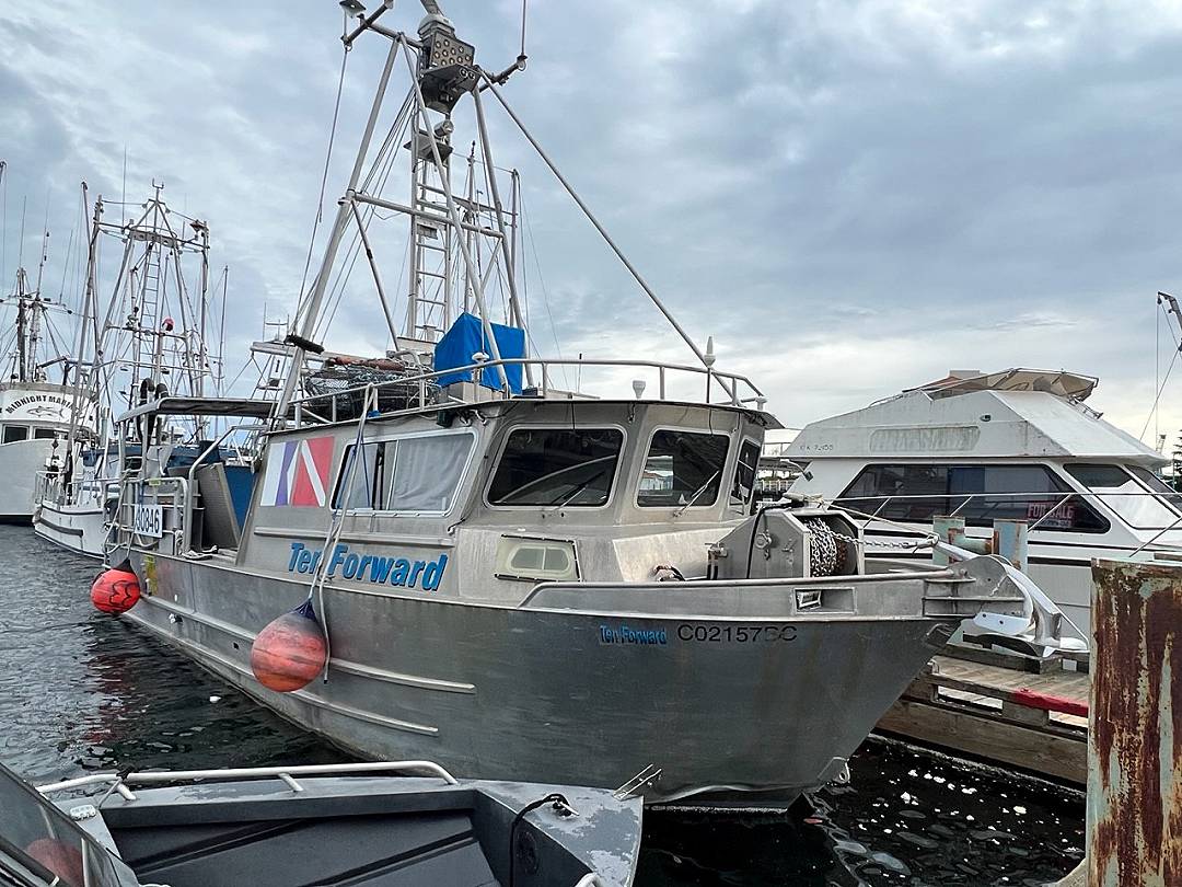 Used Commercial Fishing Boats For Sale - Licenced Fishing Boats, Unlicenced Fishing  Boats, Skiffs, Licences and Quota