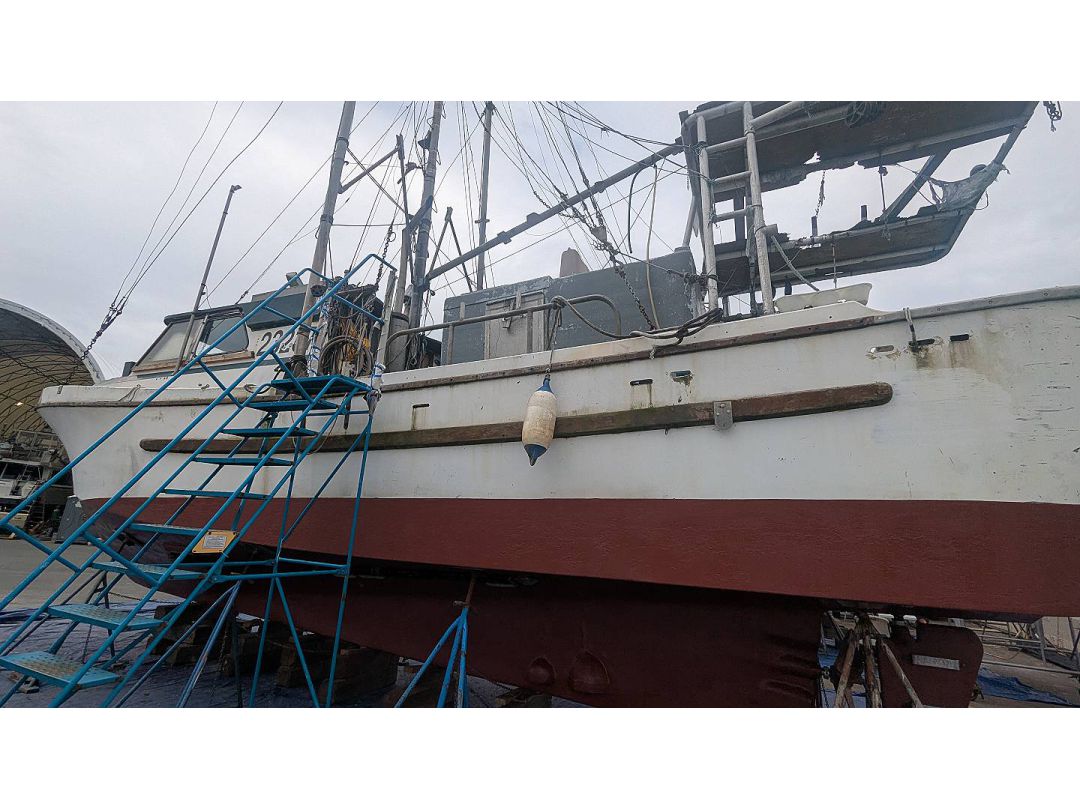 Deltaga Freezer Troller image 3