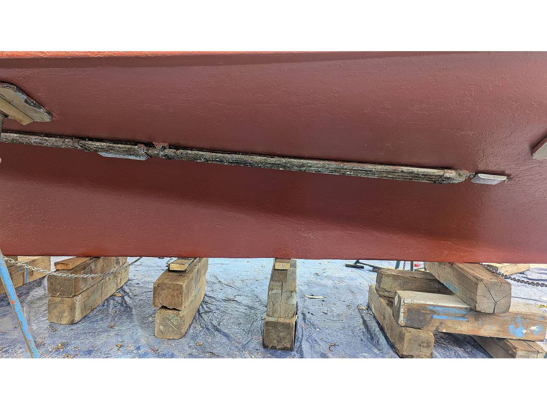 Deltaga Freezer Troller image 6