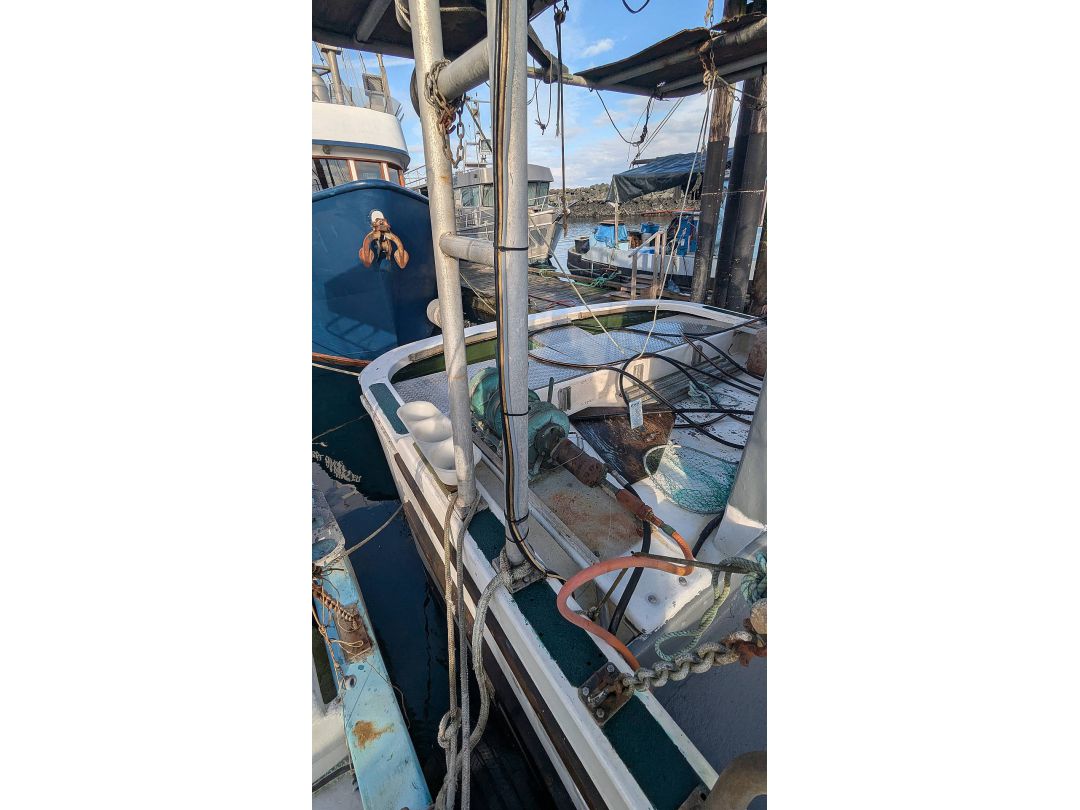 Deltaga Freezer Troller image 7