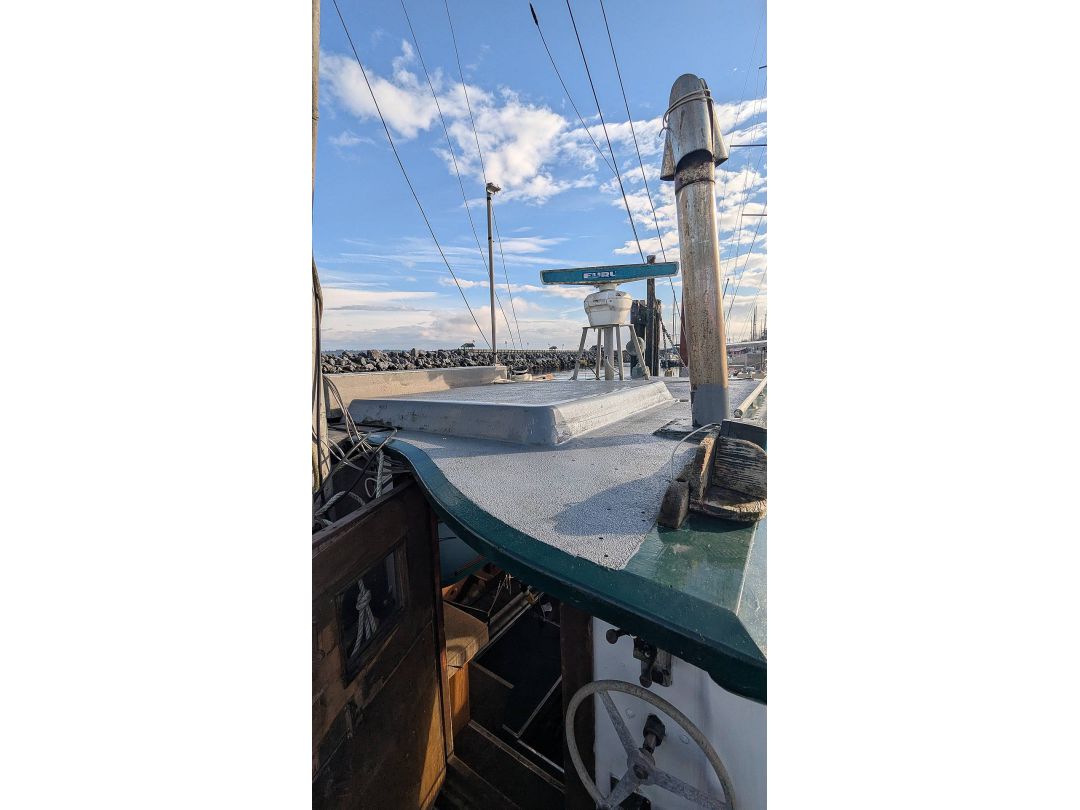 Deltaga Freezer Troller image 8