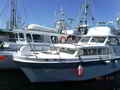 Uniflite Sport Fishing Cruiser thumbnail image 1