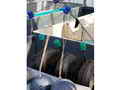 Beaver Glass Hulls Salmon Troller thumbnail image 7