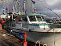 Gillnetter Longliner Cod Combination Vessel thumbnail image 3