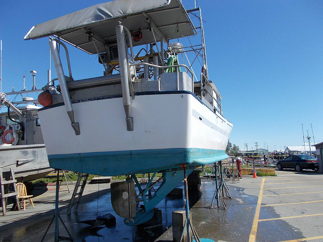 Bow Thruster Gillnetter image 2