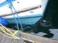 Fiberglass Prawn Troller Longliner thumbnail image 23