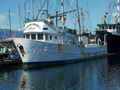 Shrimp Trawler Longliner Tuna Boat thumbnail image 1