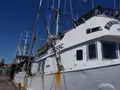 Shrimp Trawler Longliner Tuna Boat thumbnail image 3