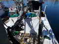 Shrimp Trawler Longliner Tuna Boat thumbnail image 13