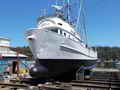 Shrimp Trawler Longliner Tuna Boat thumbnail image 31
