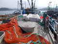 Steel Trawler thumbnail image 11