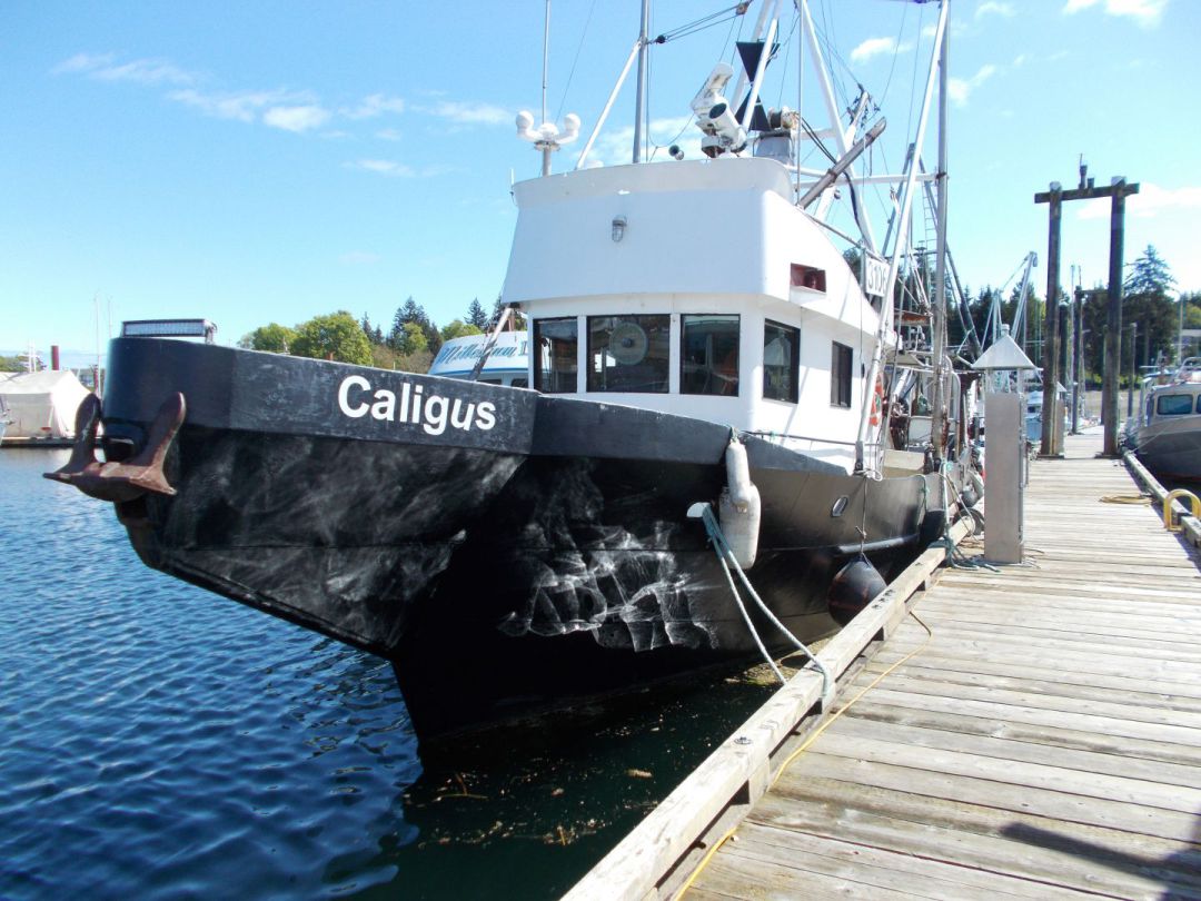Steel Trawler Gm image 0