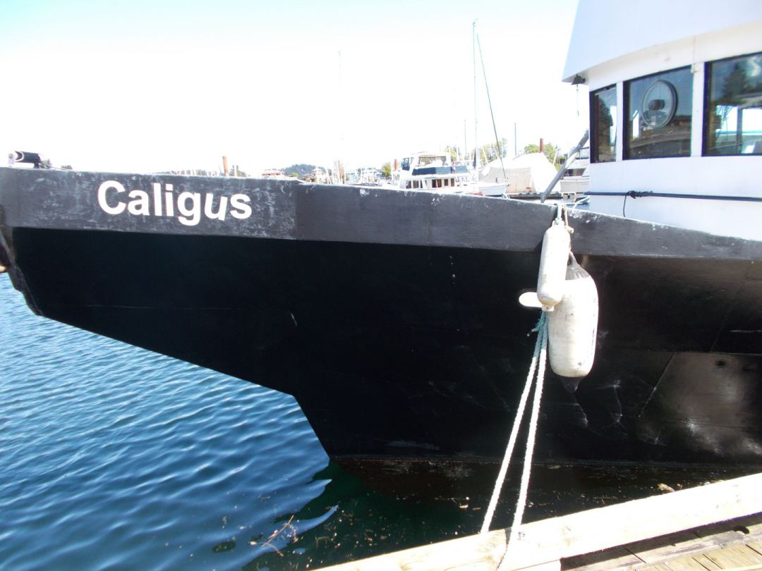 Steel Trawler Gm image 2