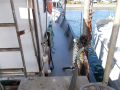 Steel Trawler Gm thumbnail image 13