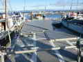 Prawn Tuna Boat thumbnail image 9