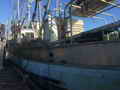 Tuna Boat thumbnail image 3