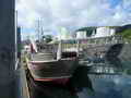 Salmon Combo Fishing Boat thumbnail image 1
