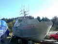 Salmon Combo Fishing Boat thumbnail image 8