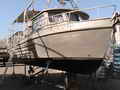 Thompson Bros Prawn Boat thumbnail image 5