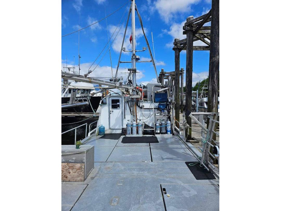 Aluminum Catamaran Fishing Boat image 4