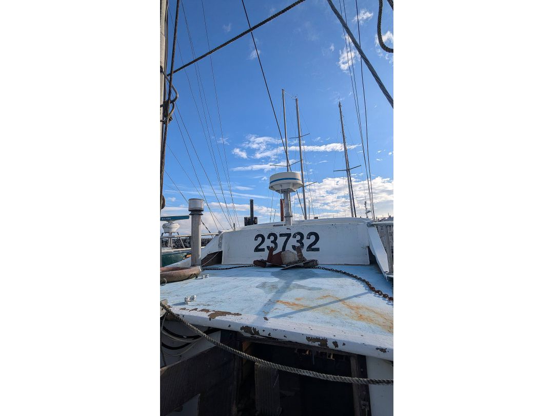 Fiberglass Farrell Troller image 7