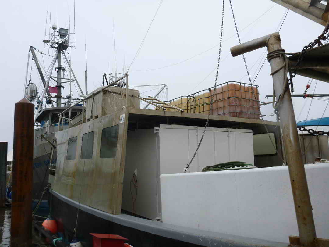 Gooldrup Offshore Tuna Vessel image 5