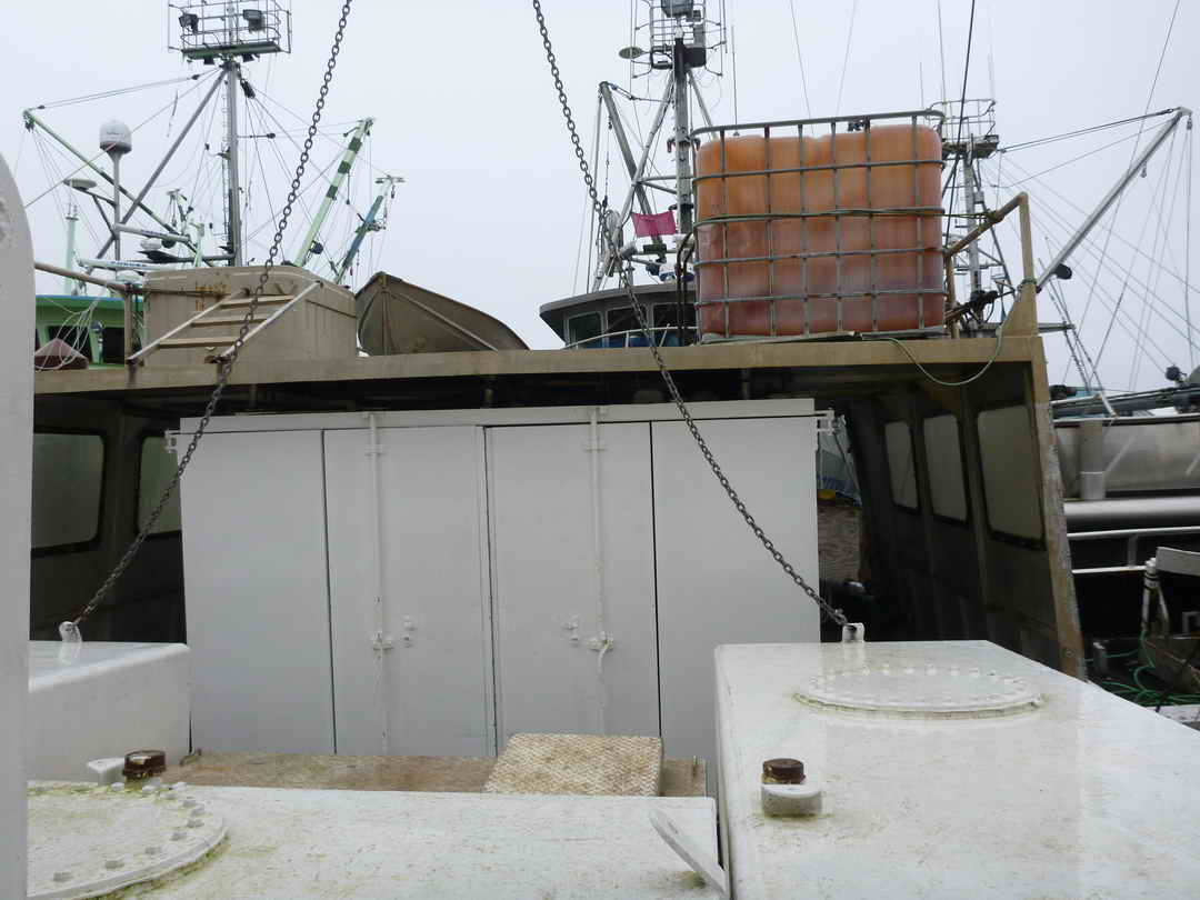 Gooldrup Offshore Tuna Vessel image 8