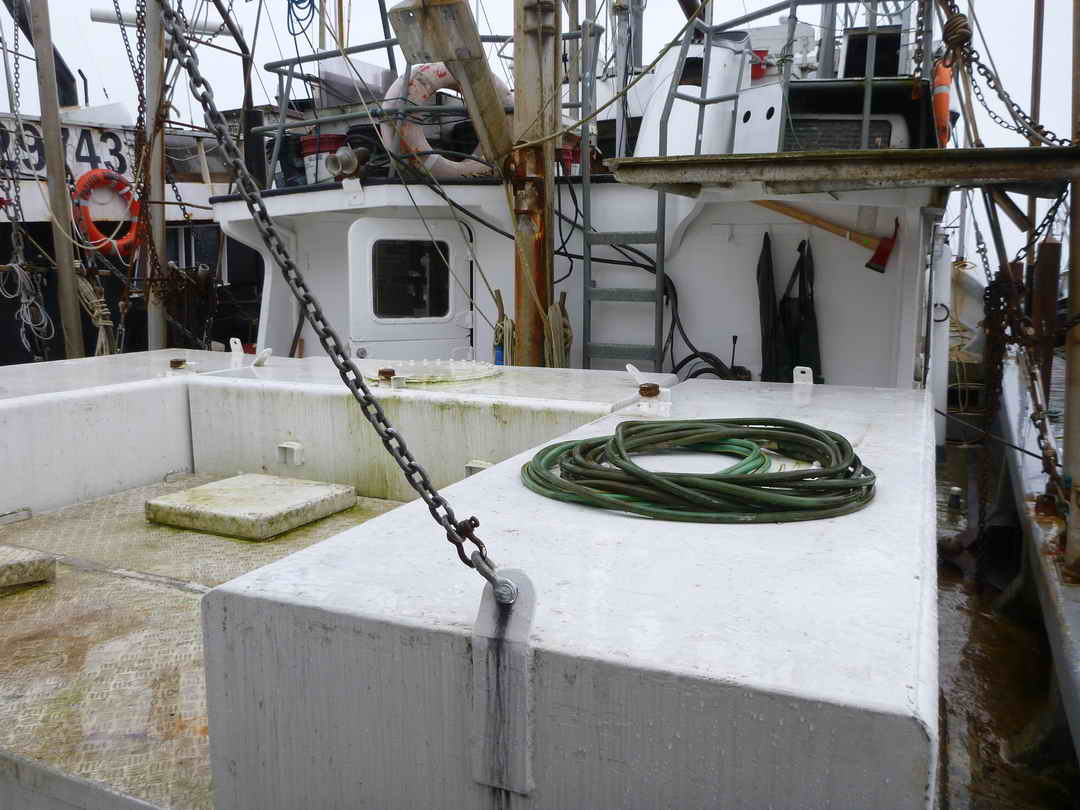 Gooldrup Offshore Tuna Vessel image 10