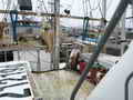Gooldrup Offshore Tuna Vessel thumbnail image 14