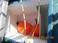 Salmon Gillnetter thumbnail image 35