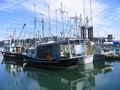 Pelagic Prawn Boat thumbnail image 3