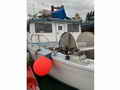 Pacific Bowpickers Gillnetter Crab Boat thumbnail image 3