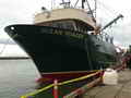Allied Packer Trawler Longliner Seiner thumbnail image 1