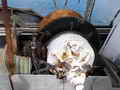 Frostad Trawler thumbnail image 12
