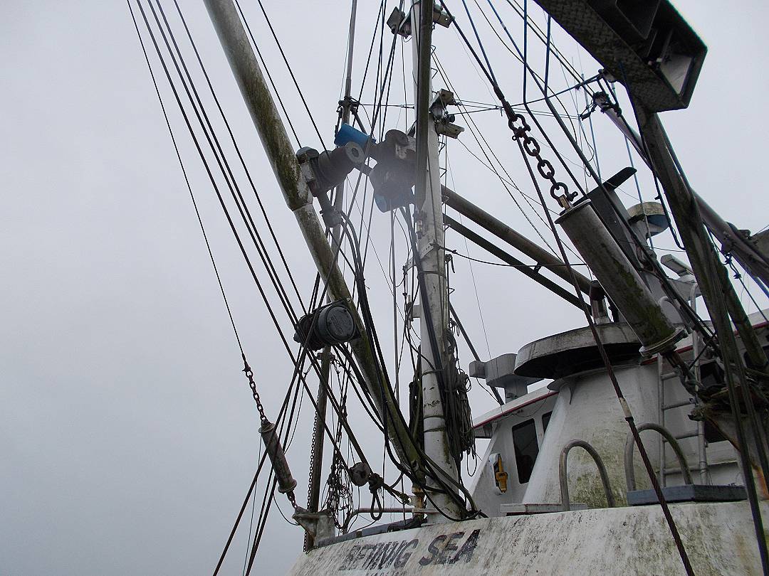 Steel Seiner Tuna image 9