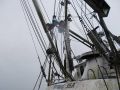 Steel Seiner Tuna thumbnail image 9